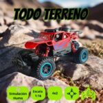 carroacontrolremoto (3)