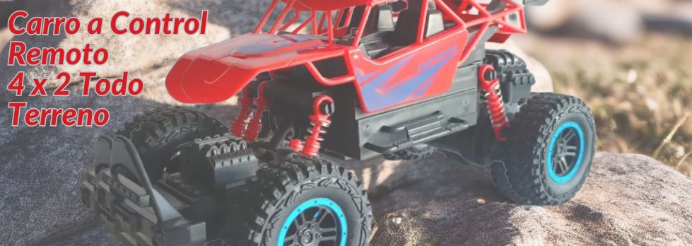 portadacarroacontrolremoto